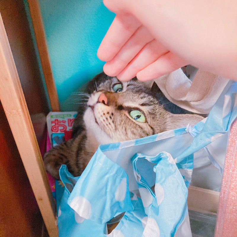 思うことがあった。