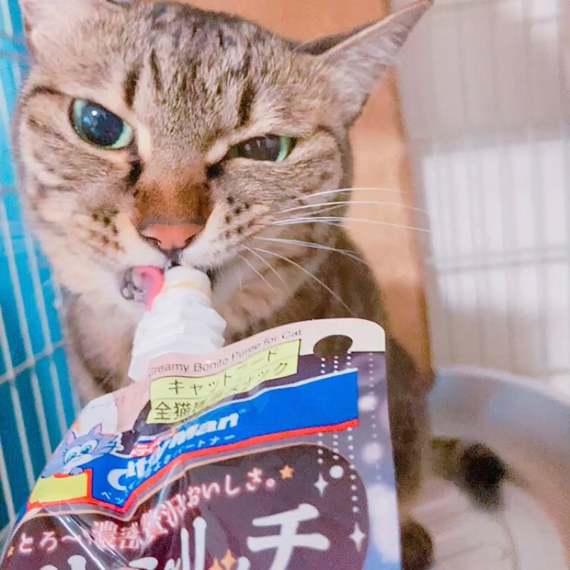 かわいいとかマイノリティの話…？