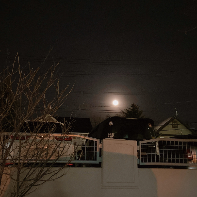 Day.11 ありがとう2月、Hi3月