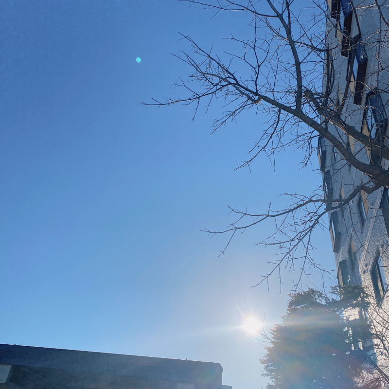 Day.14 明日何の日か知ってる？