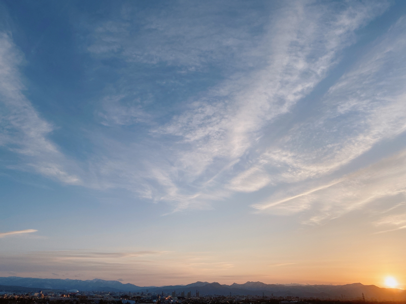 Day.15 1週間を振り返ろう