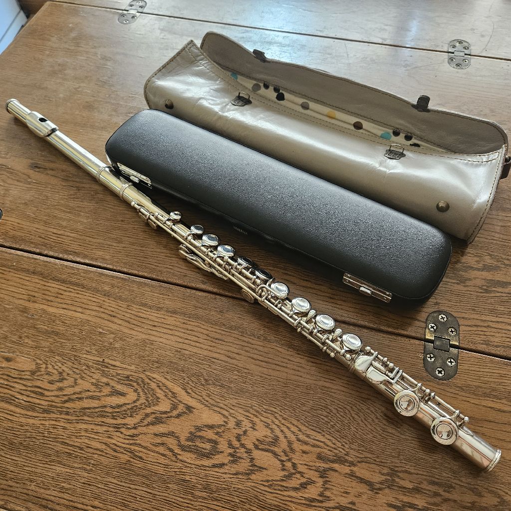 第345回　マメフェス参加曲②　フルート💗中島みゆきさんの「銀の龍の背に乗って」