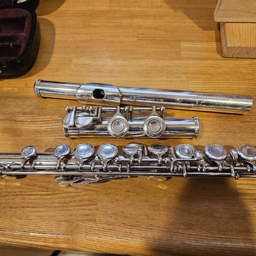 第431回 昭和の歌を耳コピしていました　「舟唄」吹いてみた