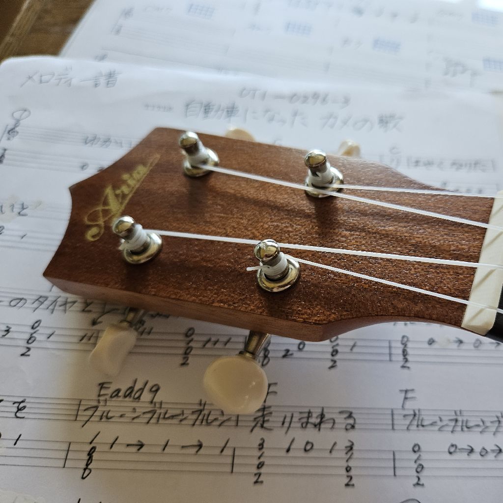 第690回 ウクレレ練習記録　「自動車になったカメの歌」