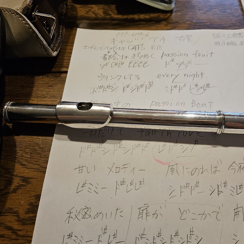 第721回　ミュージックサンデーライヴ前の練習　その3　キャッツアイ