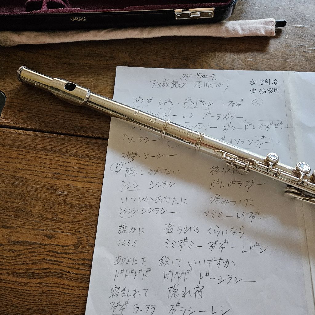 第799回　石川さゆりさんの「天城越え」吹いてみました