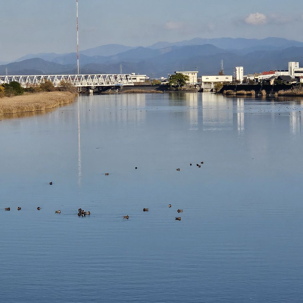 冬になるとつらい。リウマチについて語る