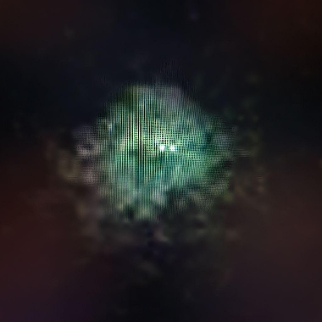 今年は星を撮るのに夢中になっています