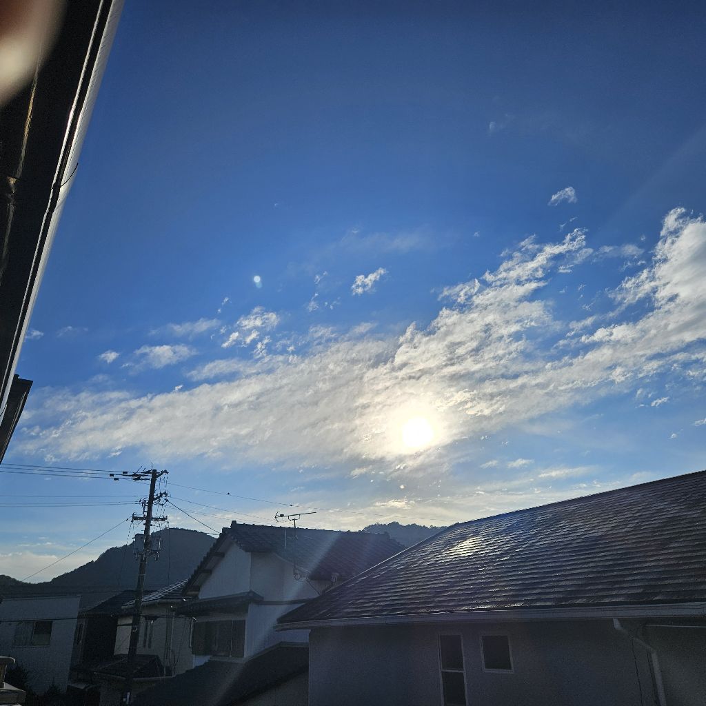 洗濯物を干しながら、今年の豊富とこれからの話