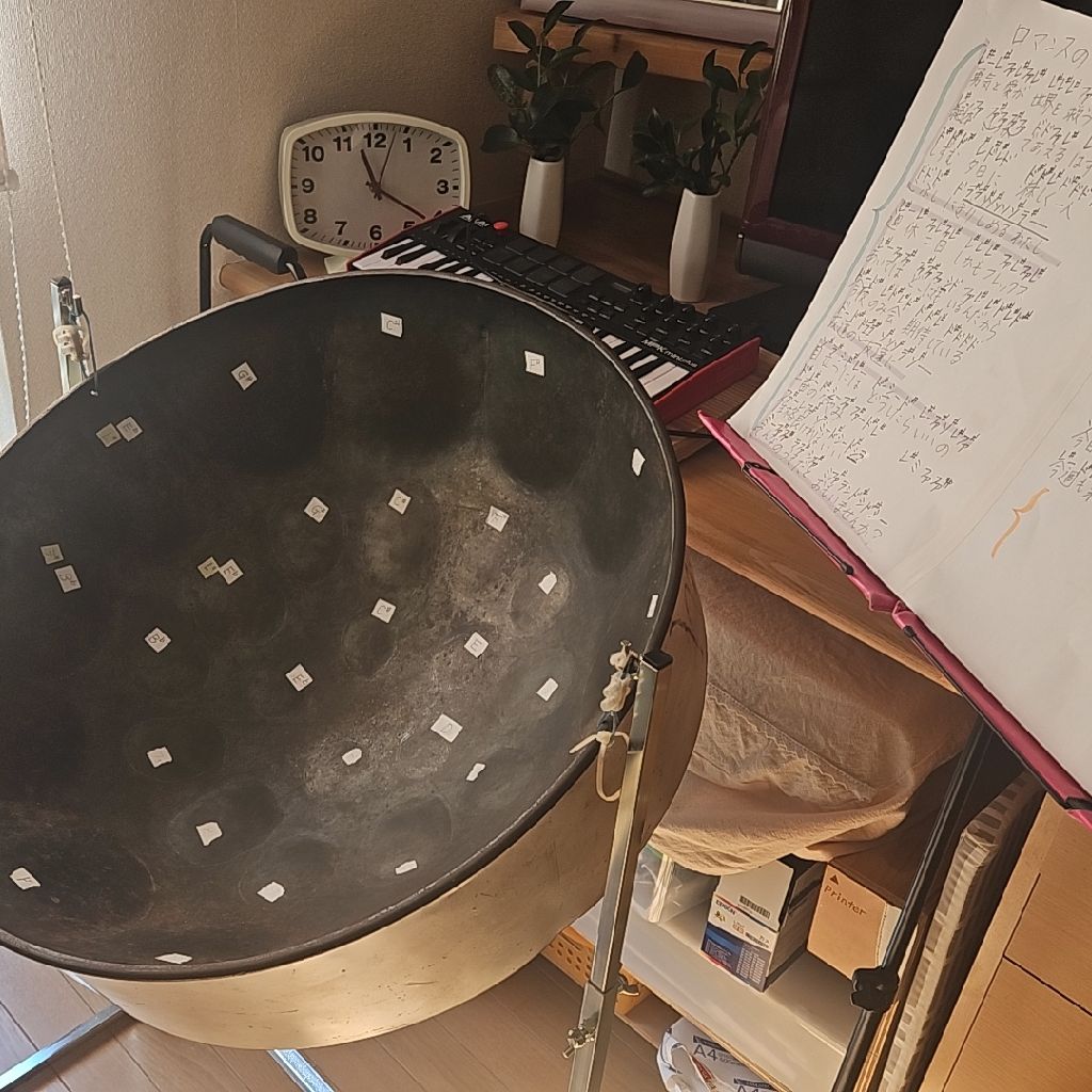 スチール・パンやるにあたっての悩み