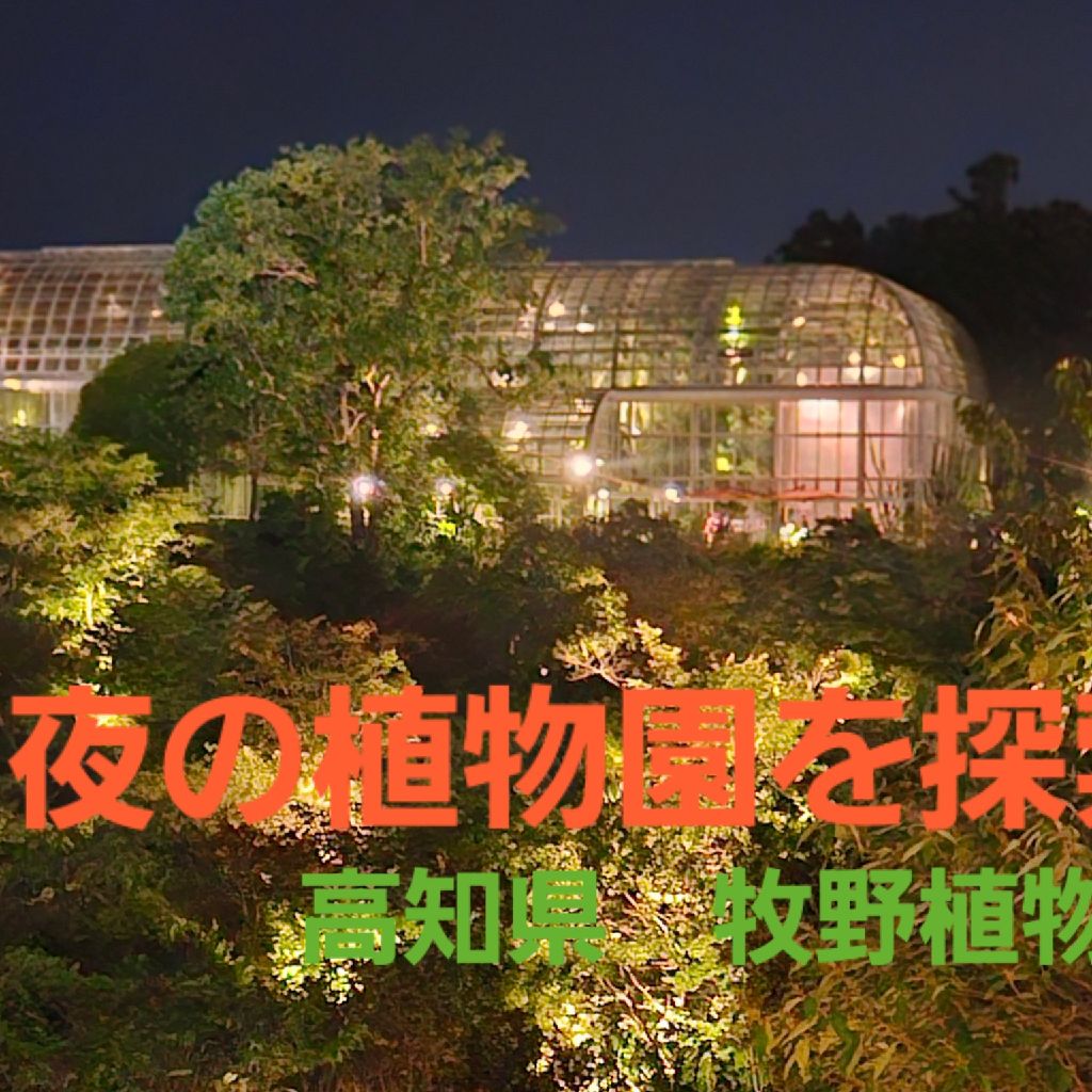 第1504回　YouTubeに色々とあげるようになりました