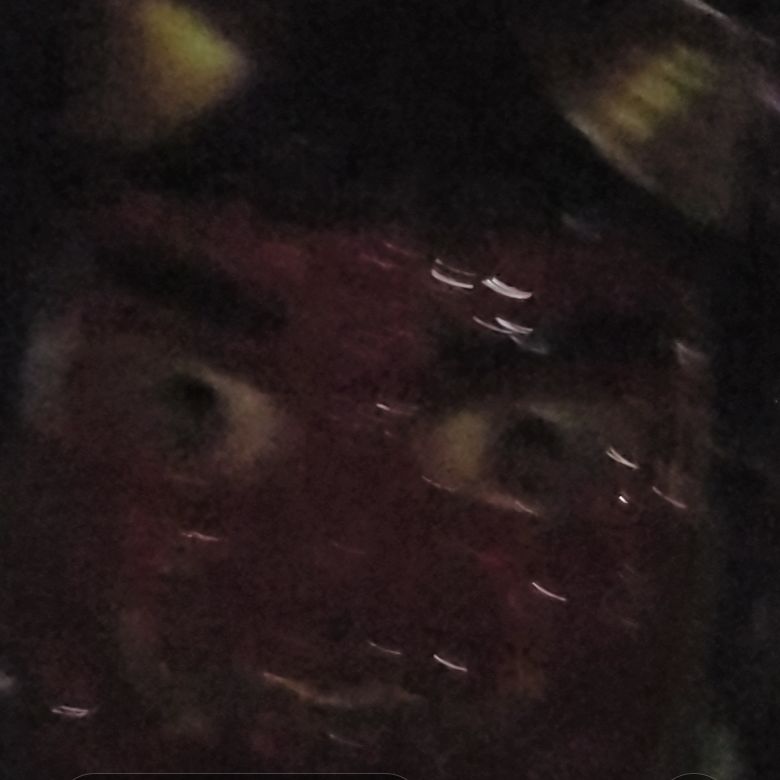 1508回　毎年、真面目に豆まきをやっています👹