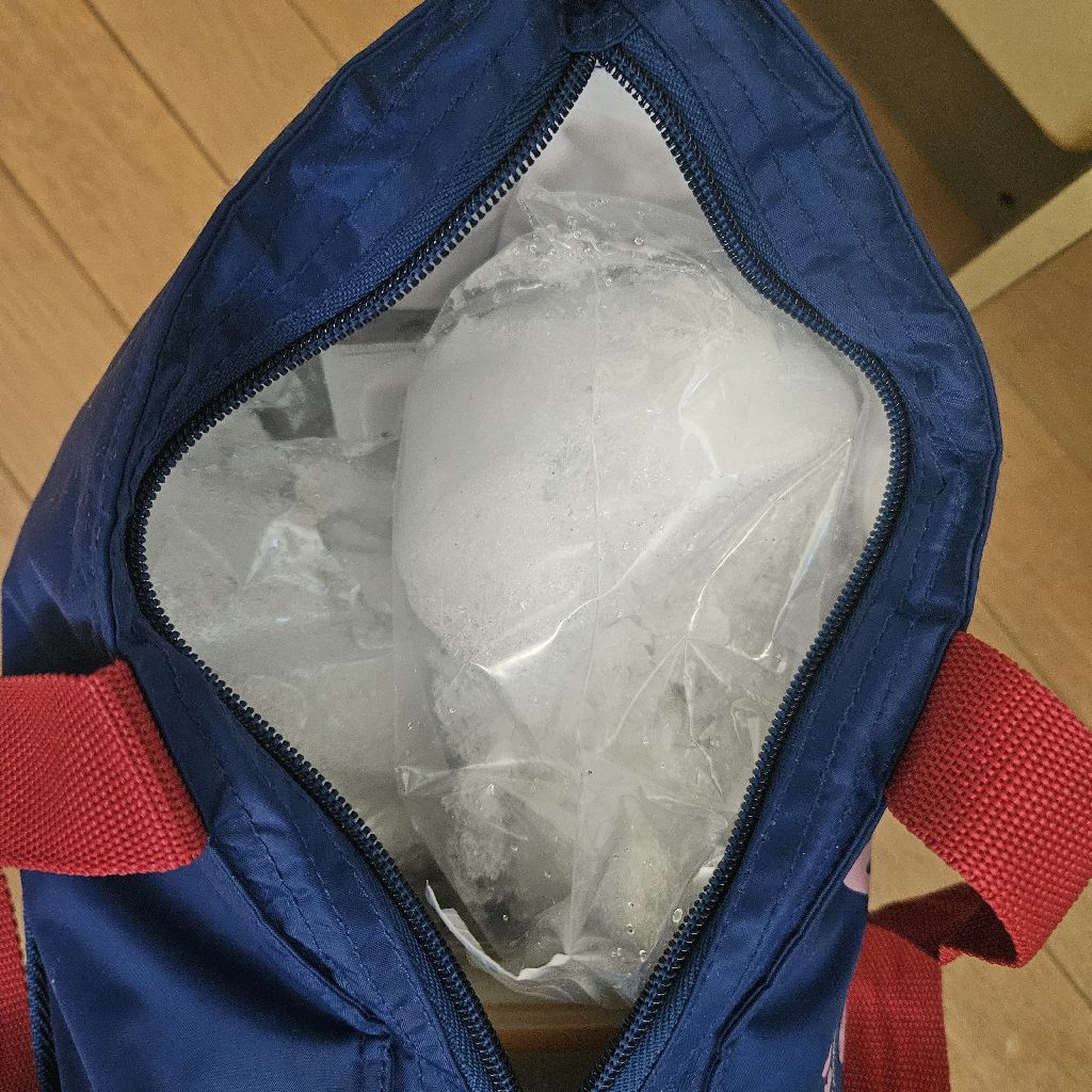 第1516回　冷蔵庫の話、その後どうなったか