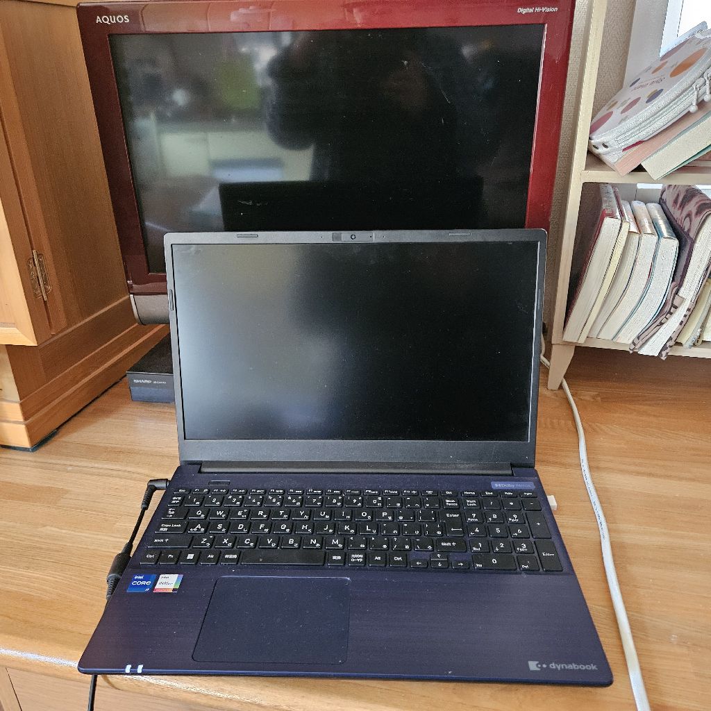 接続コードとUSBメモリー買ってきた