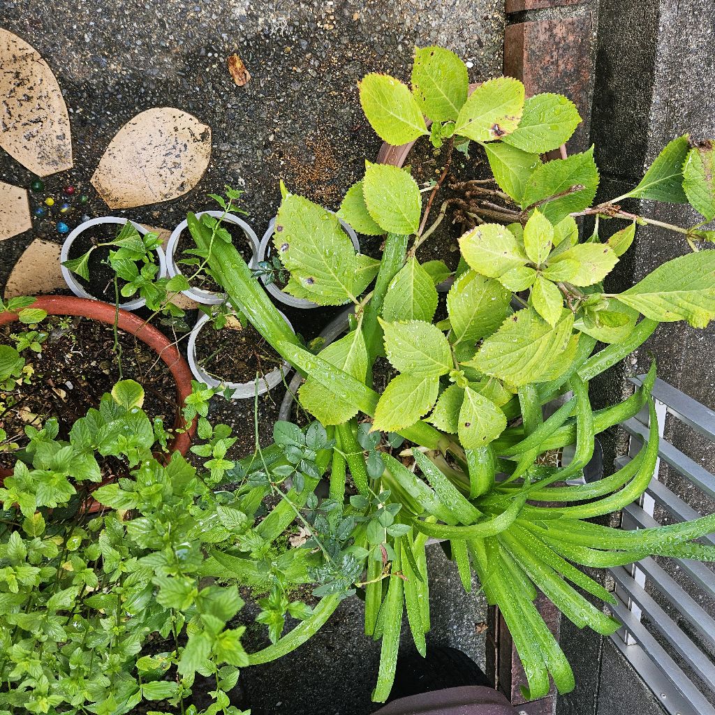 怪我しまくり　今日もやってしまいました