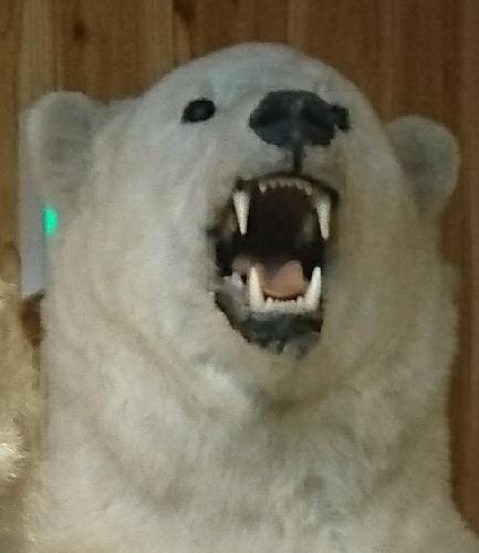 マイフェイバリットシロクマ