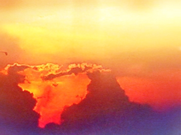 SNSコミュ障第14回