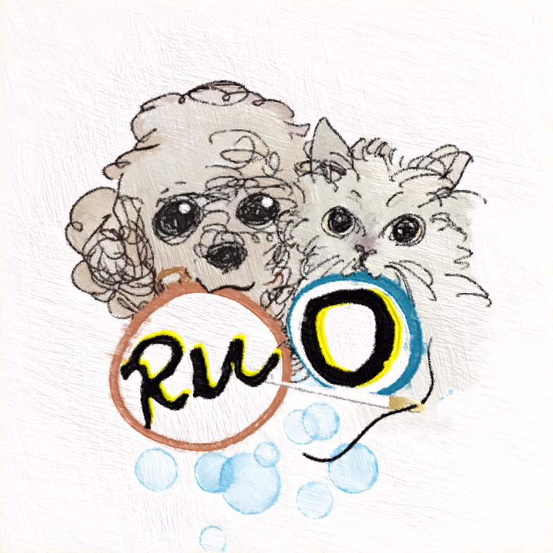 うちの子刺繍Ru○（るまる）/新しい本や『こと』