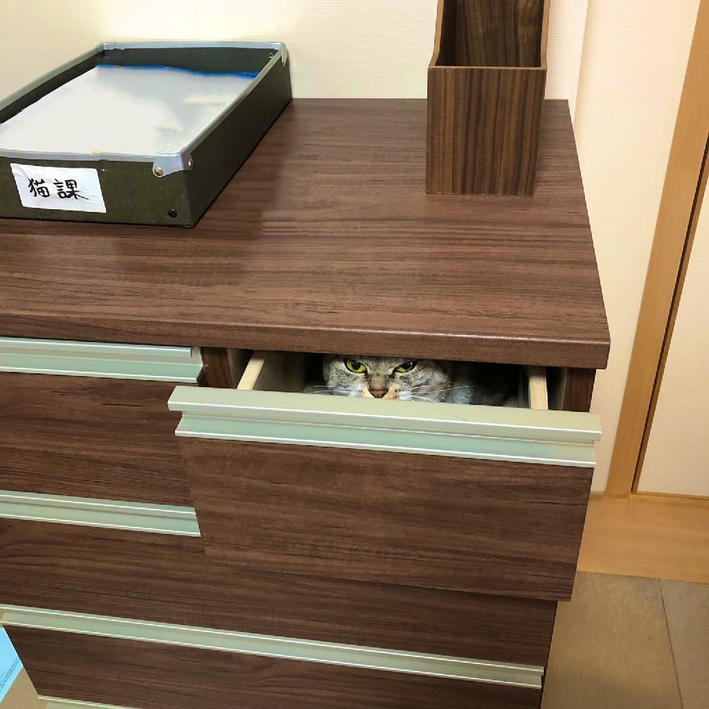 クソどうでもいい話part2