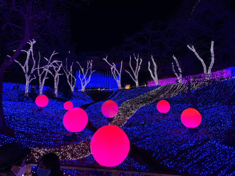 【初投稿】脳科学と読書と習慣と日々の記録