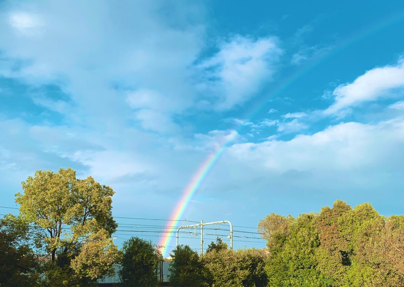 かたづけのすすめ