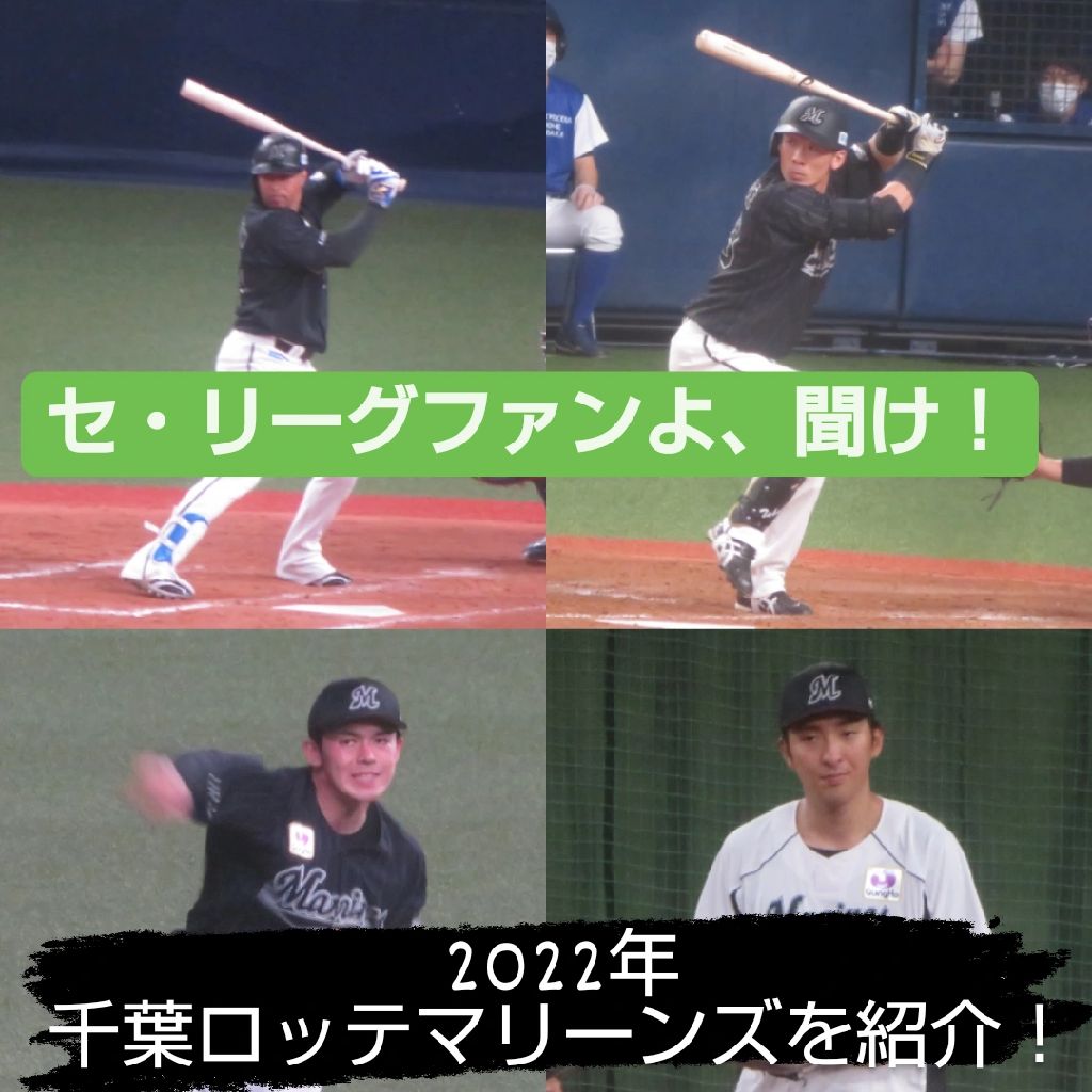 いよいよ明日から交流戦！ここまでの千葉ロッテマリーンズを紹介。
