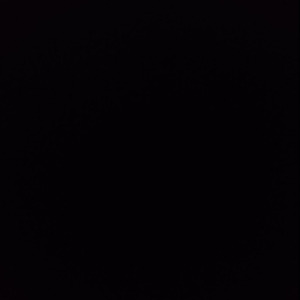 DJトクメイ