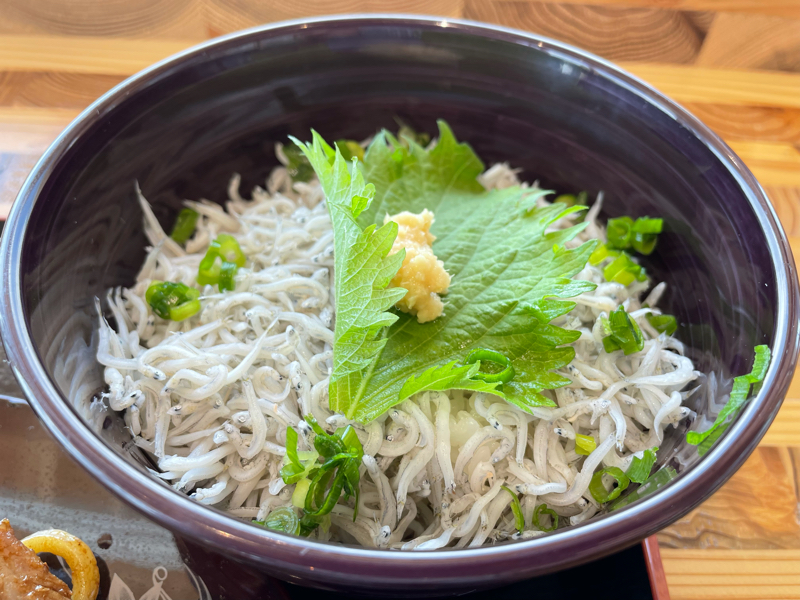 第162回放送　常磐道を北上する