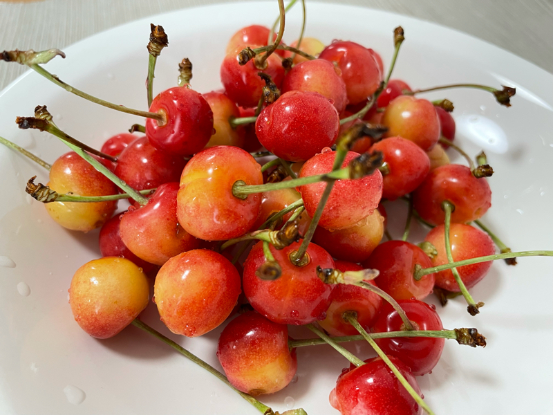 第187回放送　くだものはあんまり食べない