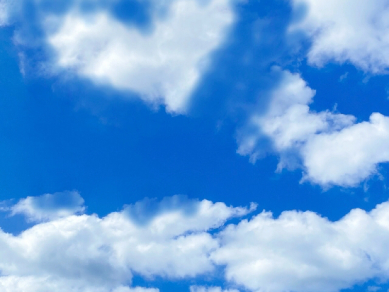 #49 もう恋なんてしない ♪