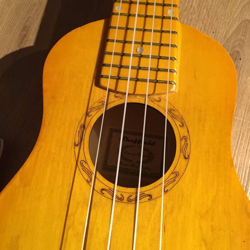 #249 ウクレレの本が出てきた