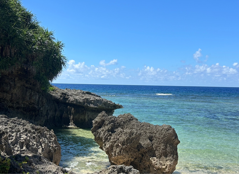 #692 真夏の出来事♪🆕TRB企画