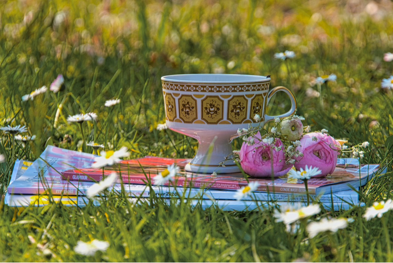 #713 -Dreaming Girl- 恋、はじめまして ♪🆕