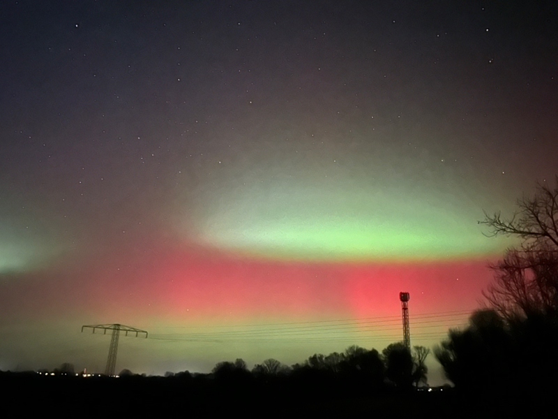 #711 オーロラ姫再登場😆💕✨🎙️