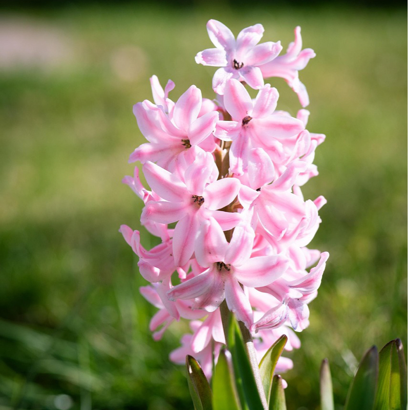 #716 はいからさんが通る♪🆕Part.1 TRB企画