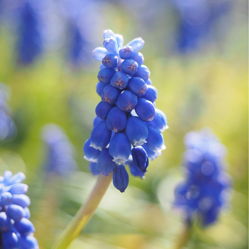 #717 はいからさんが通る♪🆕Part.2 TRB企画