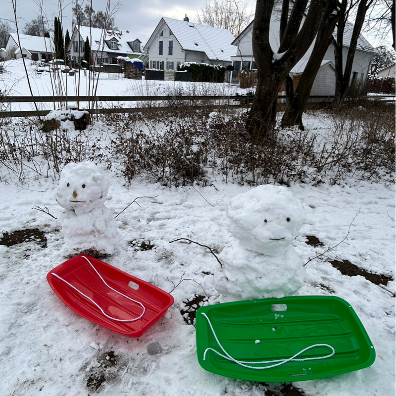 #718 久しぶりのソリ滑り🛷🎙️