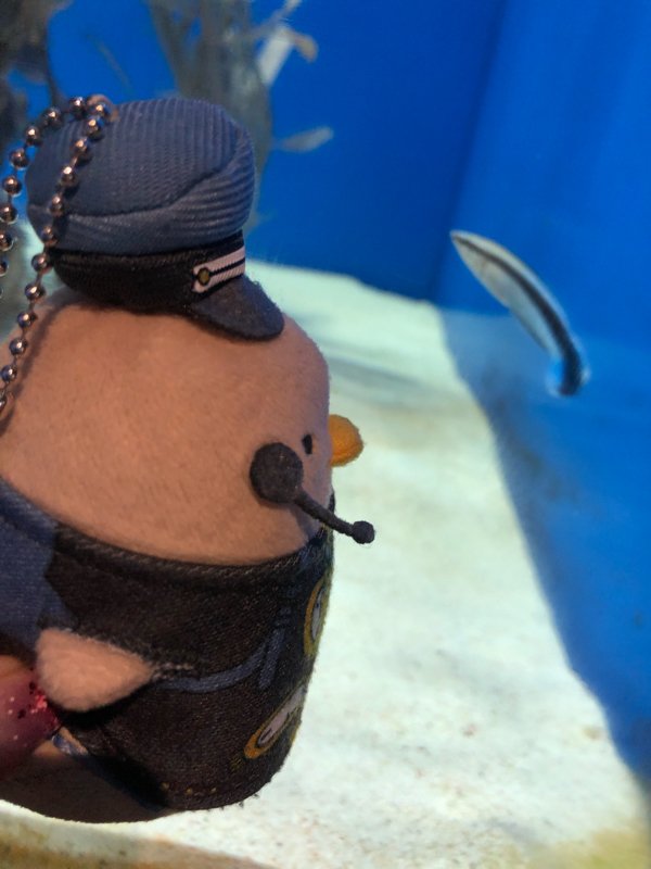 クリスが生まれた2019