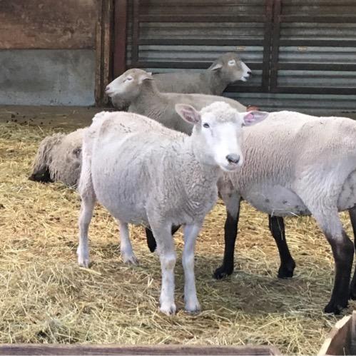 全てが宙ぶらりん