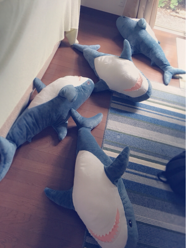 買って半年の液タブが原稿中に不具合起こした