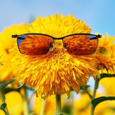 きあい📷͛🌷🌻