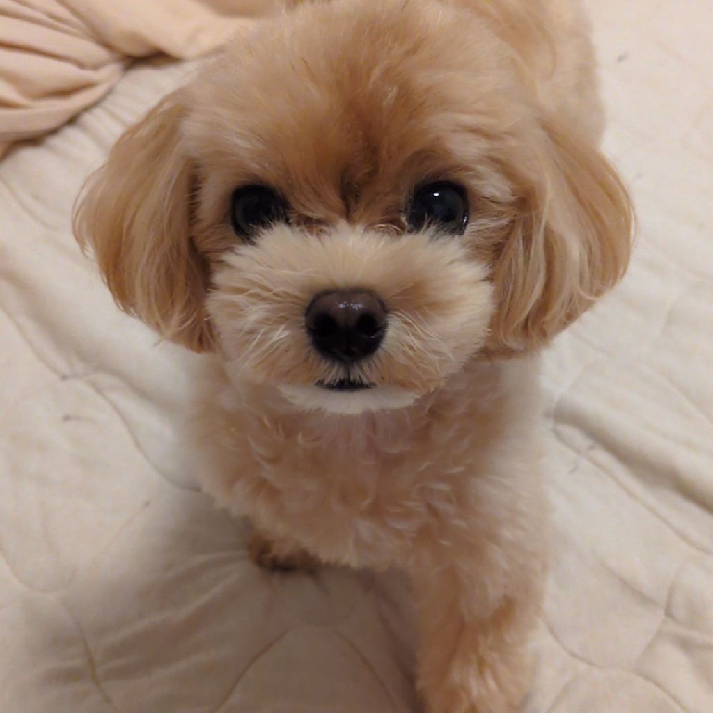 自己紹介