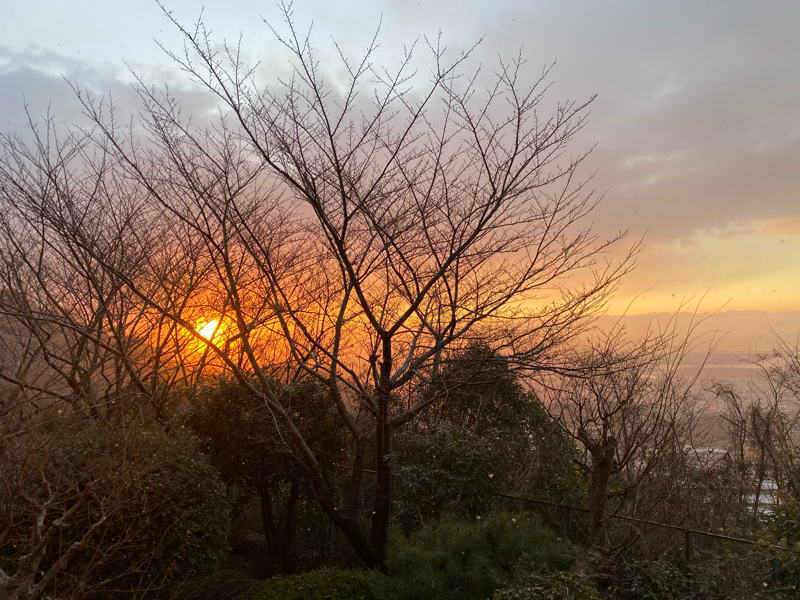 朝の9時はサンバス　sun bath 🛀 がオススメ