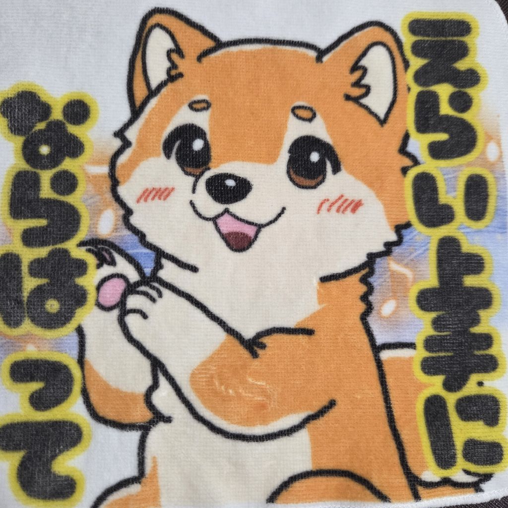 ♭60   明日19:30のマメフェス来てね