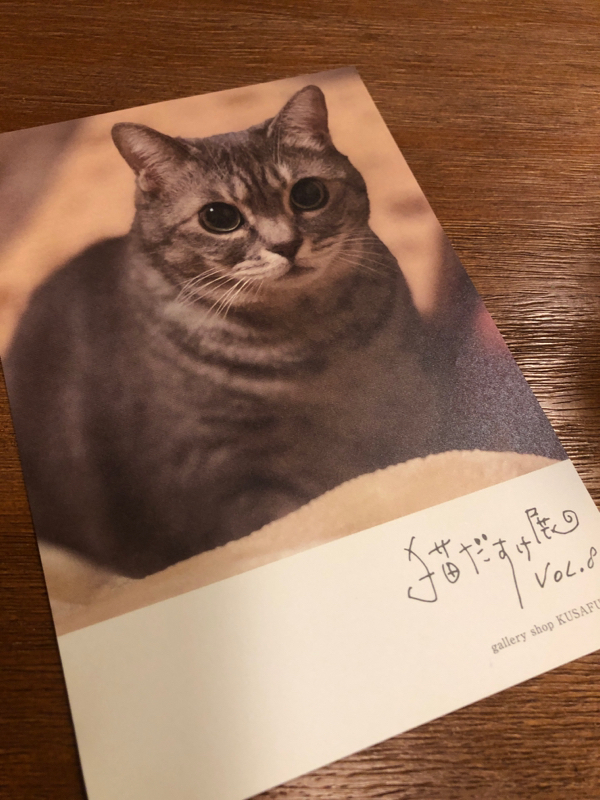 #105「猫だすけ展」と友人のハナシ