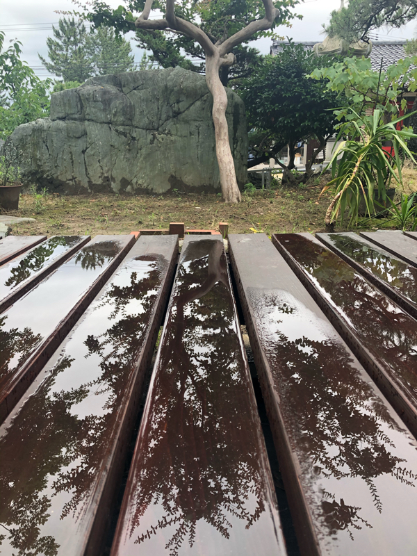 #117 気象病とペットショップ