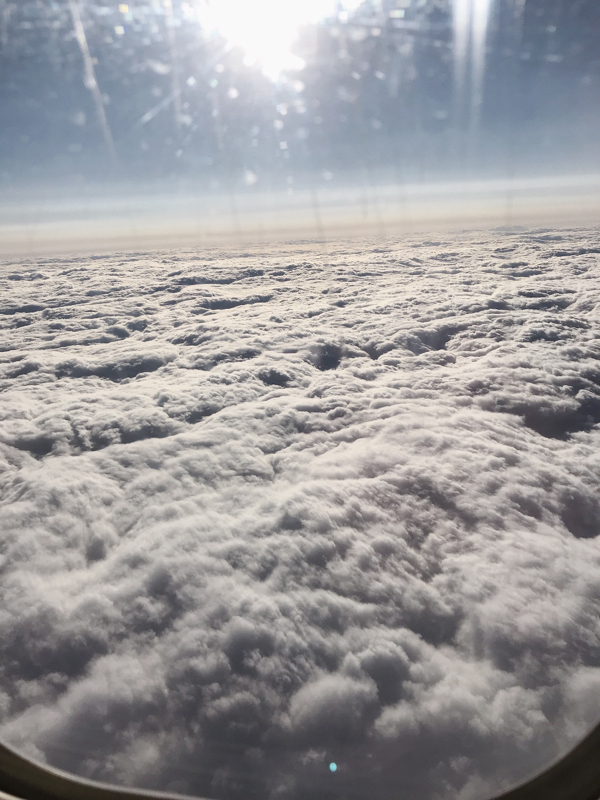 年明け仕事一発目