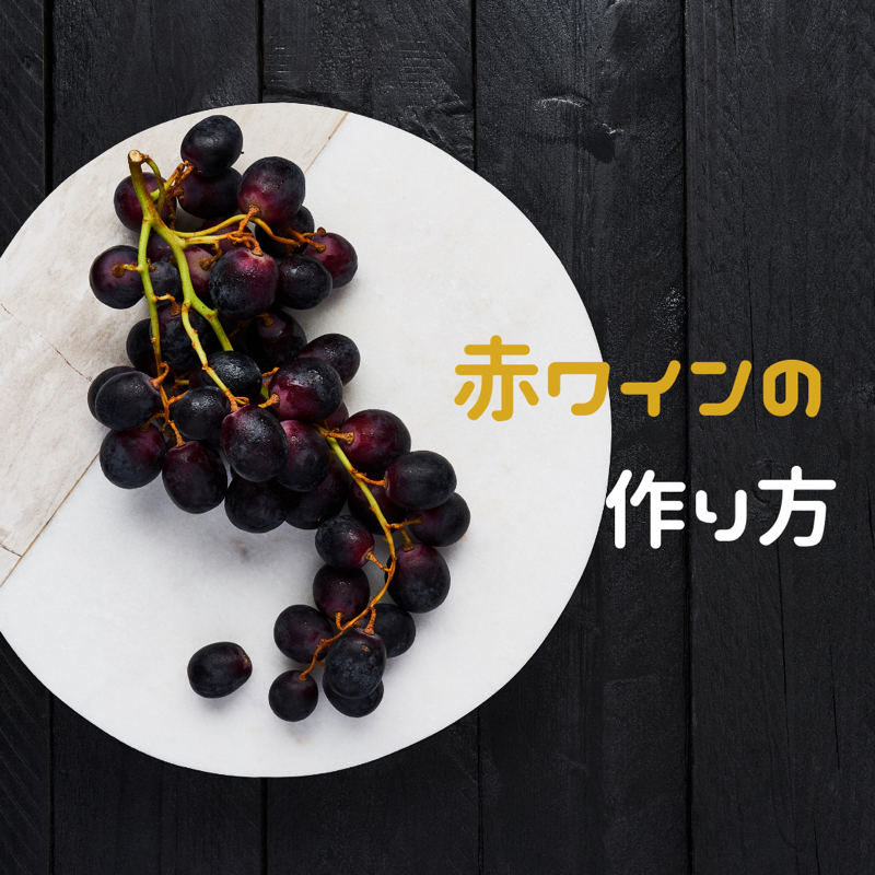 ワインの作り方（赤、ロゼワイン編）🍷