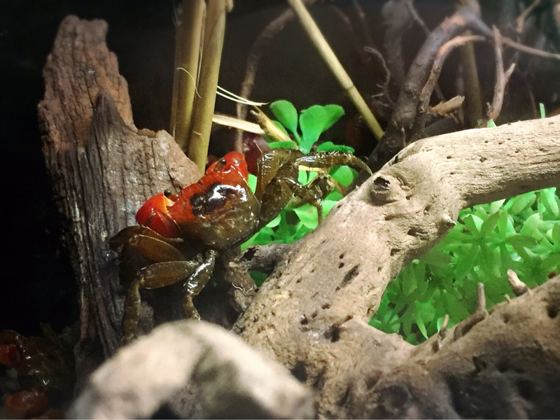 聞き流すタイプのラジオ