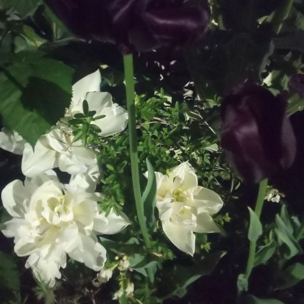 39.おやすみなさいトーク